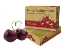 1642057325510035377.png image.png